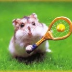 hamster-tennis